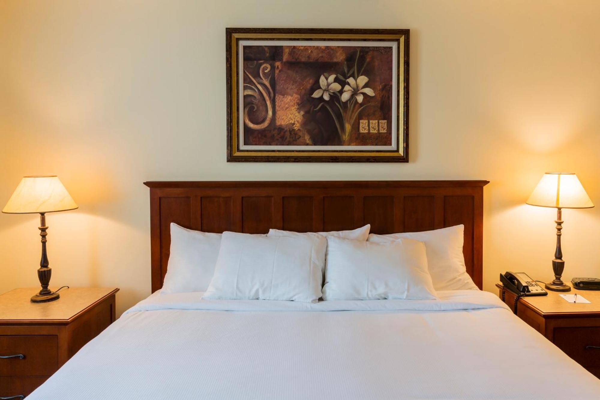 Hotel St-Bernard Saint-Bernard-de-Lacolle Zewnętrze zdjęcie